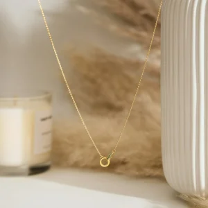 Interlocking Circle Necklace with Birthstone